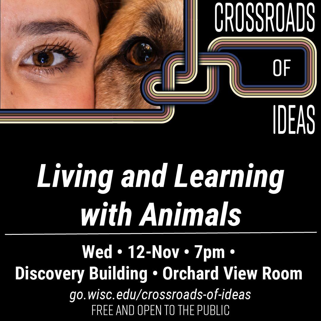Join UW–Madison’s Dr. David Drake and Carroll University’s Dr. Mindy Waite for an engaging Crossroads of Ideas conversation exploring the dynamic relationship between humans and animals, both wild and domestic. From what we can teach animals to what they can teach us, how retrofitting animals into the human world has changed our relationships, and discovering new insights into behavior, adaptation, and the possibilities for living together in a changing world. Hosted by Director of the WID – Illuminating Discovery Hub.