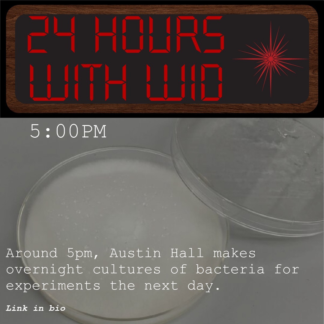 The Wisconsin Institute for Discovery operates with a dynamic, around-the-clock energy, fostering an environment of constant innovation. From late-night breakthroughs to collaborative experimentation, and global knowledge sharing over zoom, our interdisciplinary hub is always abuzz with activity. Would you like a glimpse into the exciting work that takes place within a 24-hour period? 😉